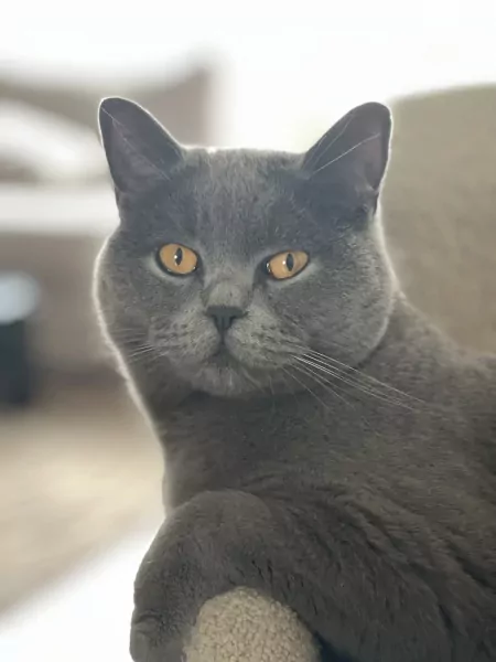 Leya zoekt nieuwe woonplek - afbeelding 5