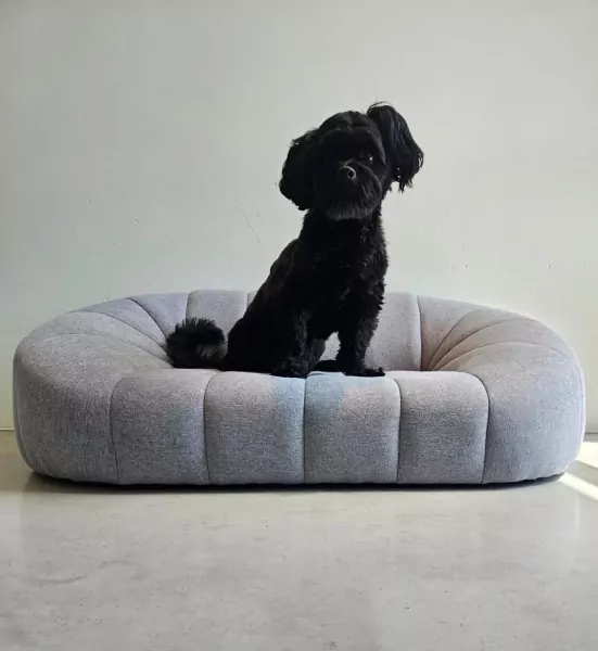 Boomer reutje - afbeelding 5