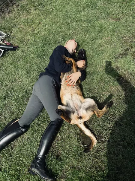 Mechelse Herder Nala - afbeelding 4