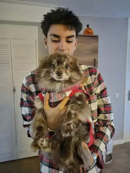 Prachtig lieve Koda zoekt gouden mand - afbeelding 4