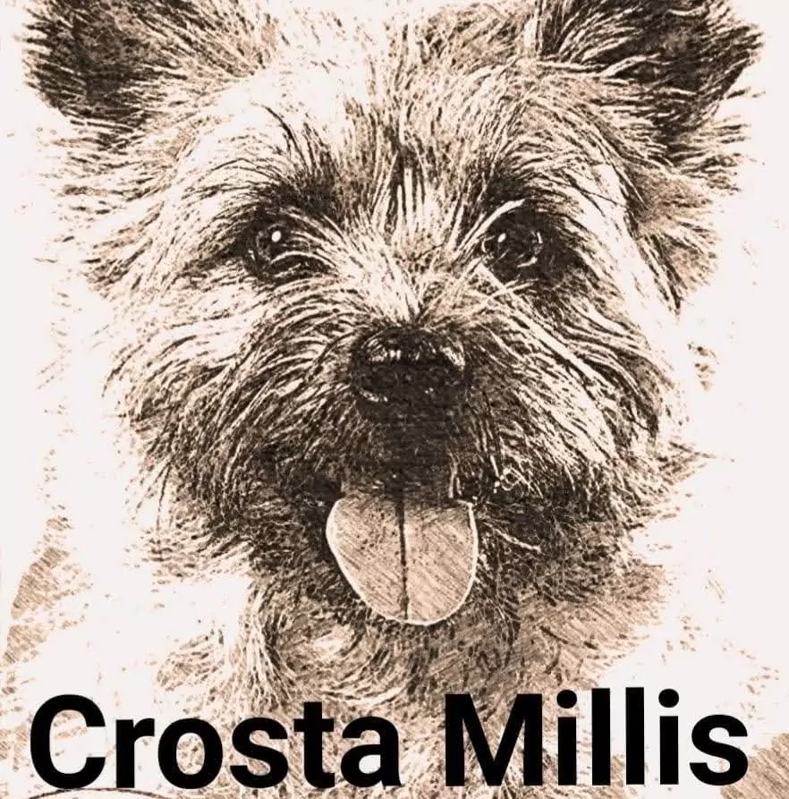 Crosta Millis