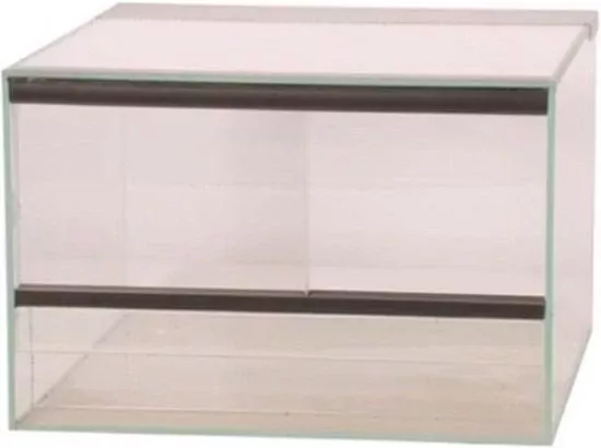 Luipaardgekko te koop vrouwtjes luipaardgekko met terraium - afbeelding 2