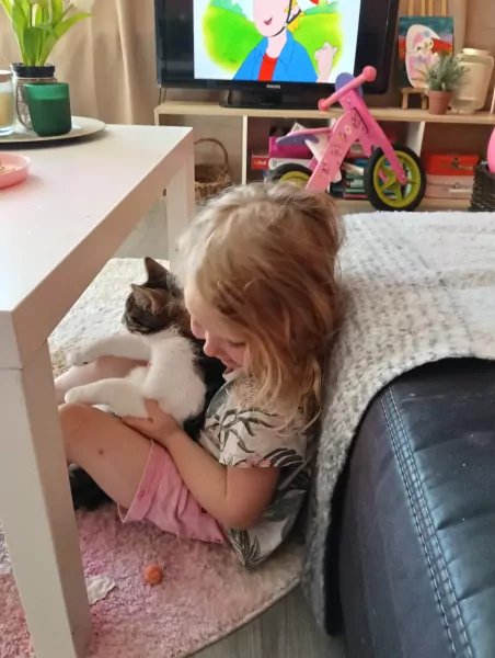 Super lief katertje (8mnd) zkt forever home 🩵! - afbeelding 3