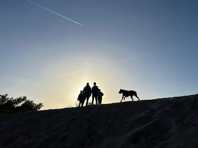Lieve Labrador Reu 2,5 jaar! - afbeelding 2