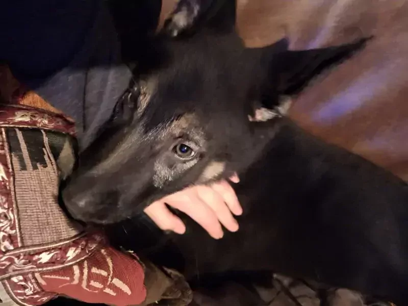 🤗 Warm thuis gekocht voor Yailinn 🩷 - afbeelding 1