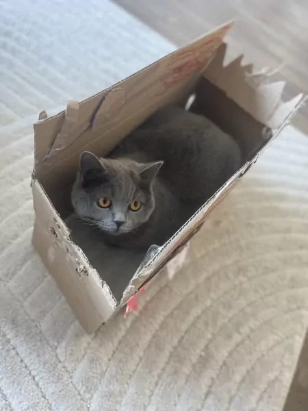 Leya zoekt nieuwe woonplek - afbeelding 3