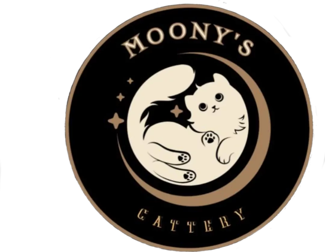 Moony's Cattery