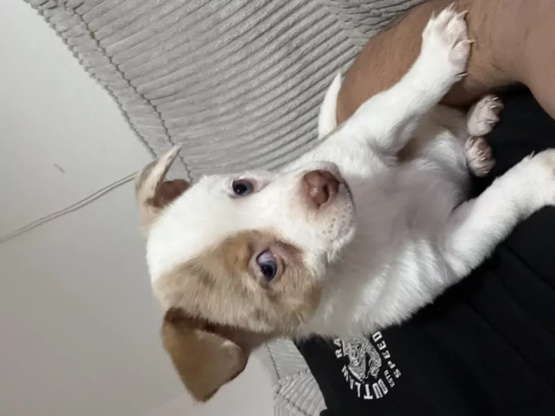 Ik ben bella - afbeelding 5