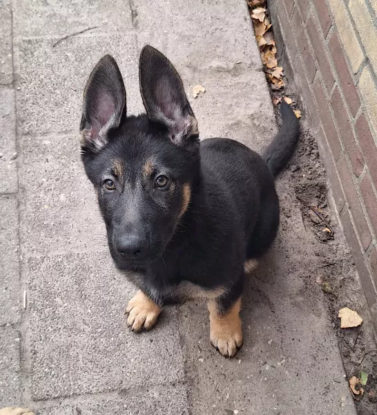 🤗 Warm thuis gekocht voor Yailinn 🩷 - afbeelding 8