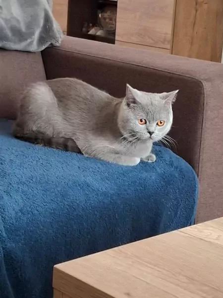 netjes