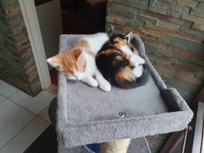 netjes