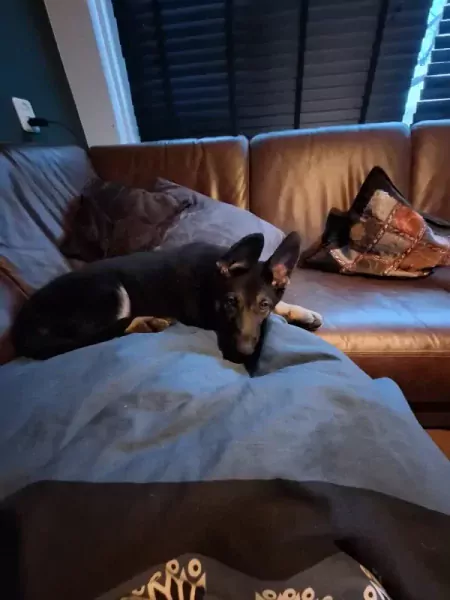 🤗 Warm thuis gekocht voor Yailinn 🩷 - afbeelding 7