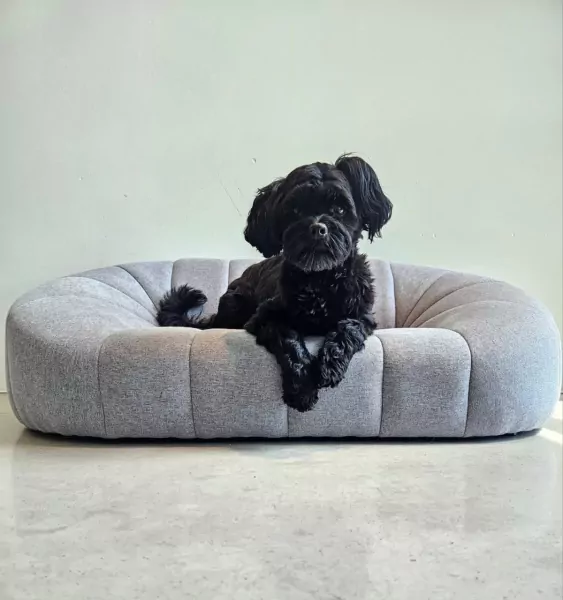 Boomer reutje - afbeelding 4