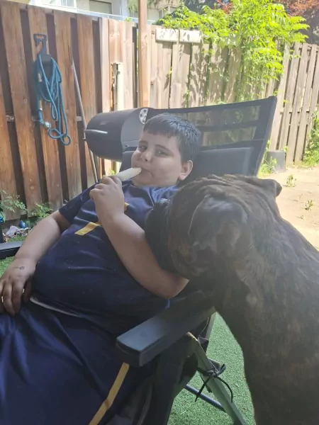 Bull mastiff buddy - afbeelding 4