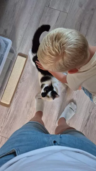 Kater Vlek (8 jaar) - afbeelding 6