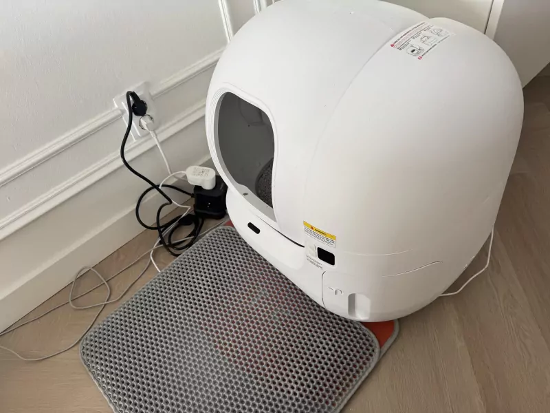 Twee prachtige Britse korthaar katten - afbeelding 4