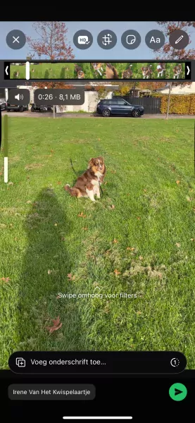 Pup Rebel - afbeelding 3