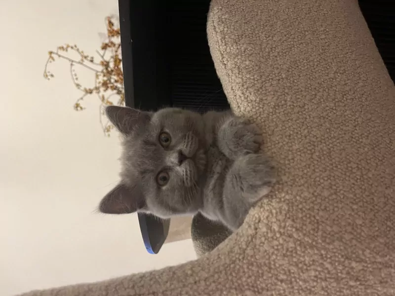 Leya zoekt nieuwe woonplek - afbeelding 6