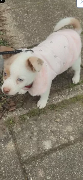 Ik ben bella - afbeelding 2