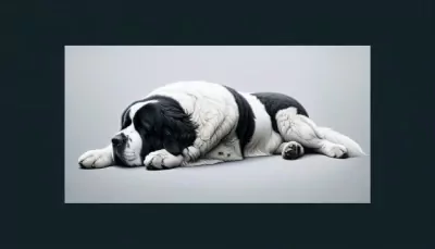 Landseer ECT