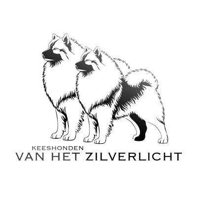 Keeshonden VAN HET ZILVERLICHT