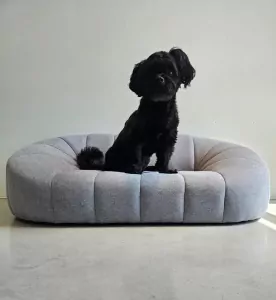 Boomer reutje - afbeelding 5