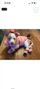 Ik ben bella - afbeelding 3