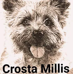 Crosta Millis