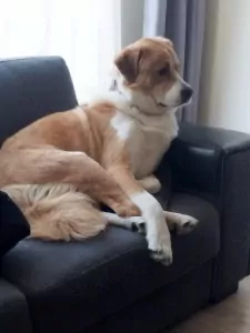 Onbekend te koop verkopen BERGEN OP ZOOM Nederland - 5557