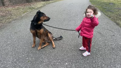 Nieuw huisje voor lieve faya - afbeelding 3