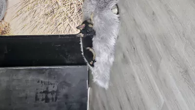 Wegens omstandigheden te koop - afbeelding 5