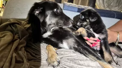 Onbekend te koop verkopen Eindhoven Nederland - 5633