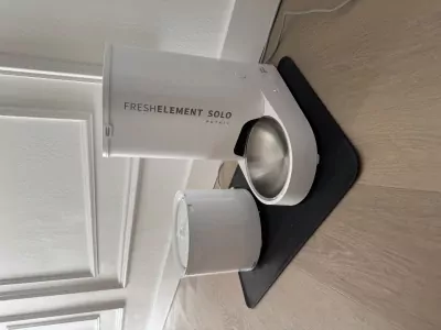 Twee prachtige Britse korthaar katten - afbeelding 5