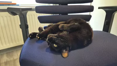 Ziggy en Marley - afbeelding 5