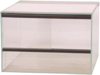 Luipaardgekko te koop vrouwtjes luipaardgekko met terraium - afbeelding 2