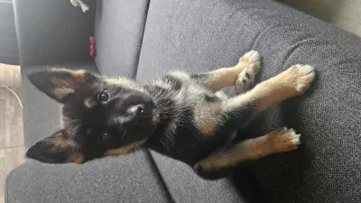 Wegens omstandigheden te koop - afbeelding 6