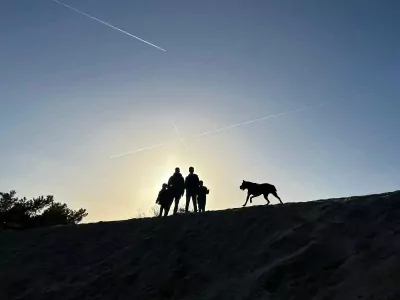 Lieve Labrador Reu 2,5 jaar! - afbeelding 2