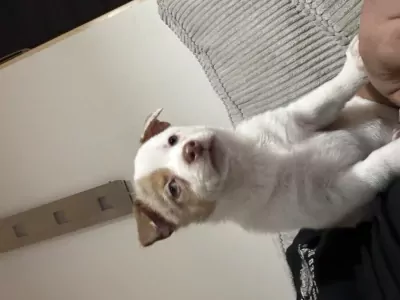 Ik ben bella - afbeelding 6