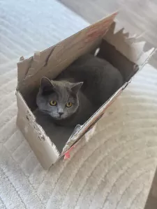 Leya zoekt nieuwe woonplek - afbeelding 3