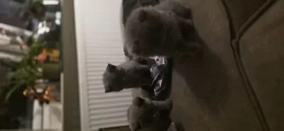 teef nestjes
