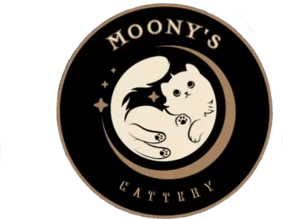 Moony's Cattery