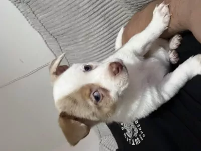 Ik ben bella - afbeelding 5