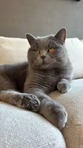 Leya zoekt nieuwe woonplek - afbeelding 2