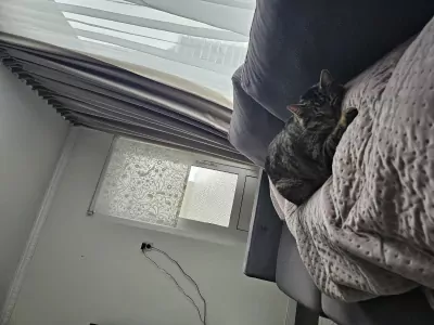 Chico - afbeelding 2