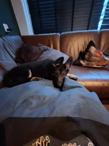 🤗 Warm thuis gekocht voor Yailinn 🩷 - afbeelding 7