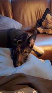 🤗 Warm thuis gekocht voor Yailinn 🩷 - afbeelding 6