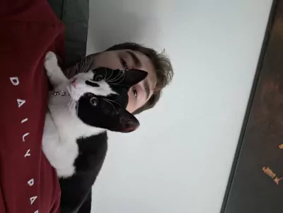 Jonge Kat Zoekt Leuke Baasje - afbeelding 3