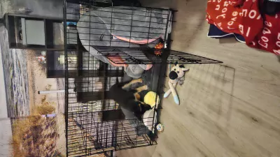 Wegens omstandigheden te koop - afbeelding 4