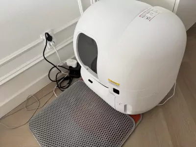 Twee prachtige Britse korthaar katten - afbeelding 4