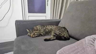 Chico - afbeelding 3